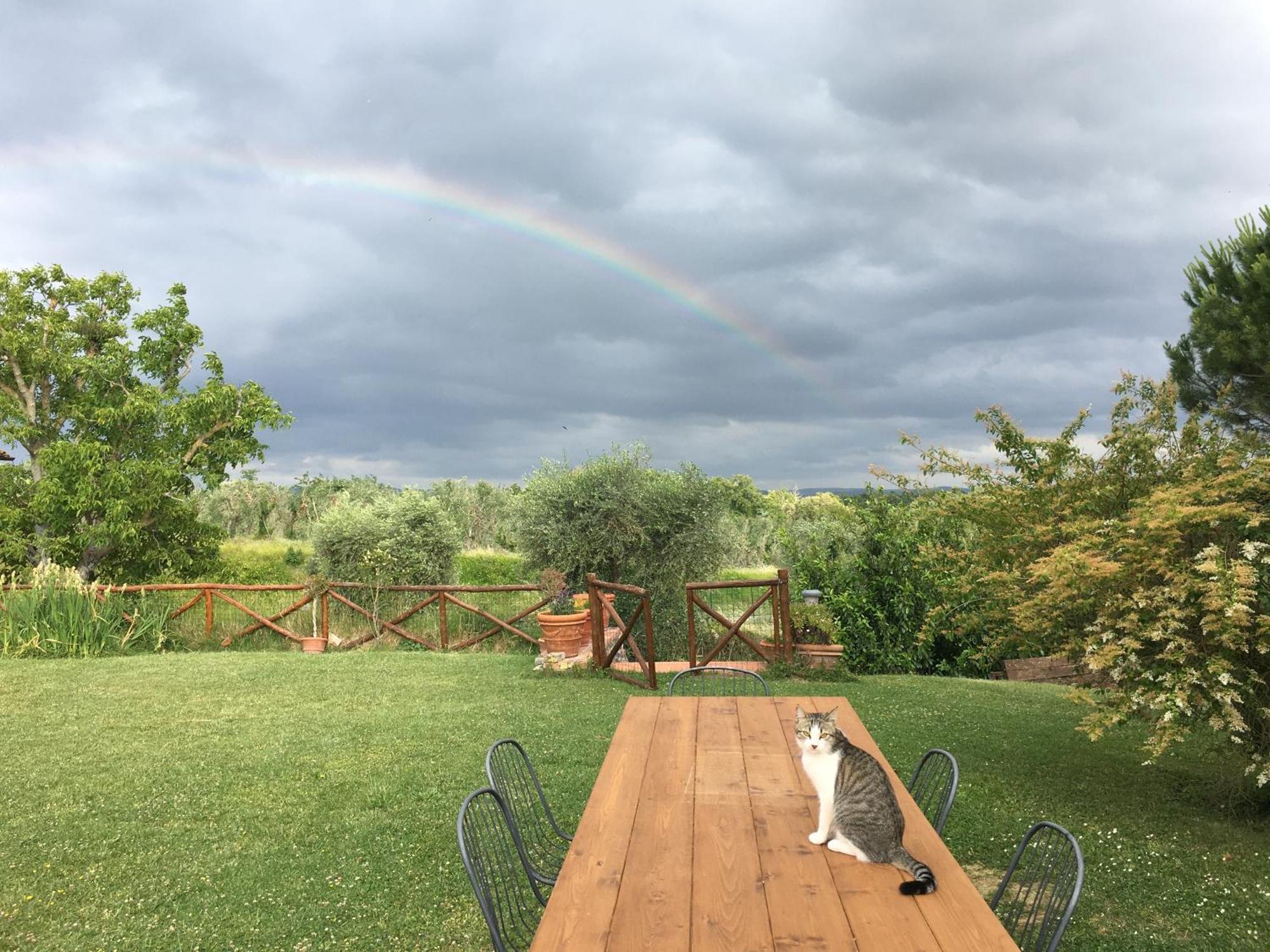 Casa Cernano Séjour à la campagne Castelnuovo Berardenga